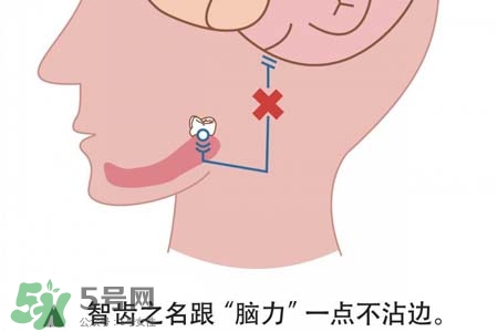 智齒會(huì)一直長(zhǎng)嗎？智齒會(huì)停止生長(zhǎng)嗎？