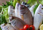魚(yú)有禽流感嗎？吃魚(yú)會(huì)得禽流感嗎？