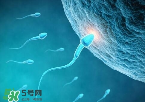 如何提高精子質量與成活率？精子質量怎么調理？