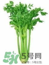 負卡路里的食物有哪些？負卡路里食物真的吃不胖嗎？