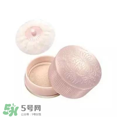 2017珠光散粉哪個牌子好？2017珠光散粉推薦