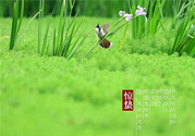 驚蟄吃什么蔬菜好？驚蟄節(jié)氣養(yǎng)生吃什么蔬菜？