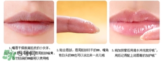 愛麗小屋唇部磨砂膏怎么樣？愛麗小屋唇部磨砂膏和悅詩風吟哪個好？