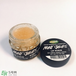 lush唇部磨砂膏怎么用？lush唇部磨砂膏使用方法