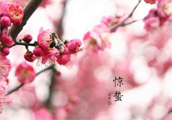 驚蟄如何養(yǎng)生？驚蟄前后如何養(yǎng)生？