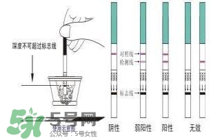 驗(yàn)孕試紙準(zhǔn)嗎？驗(yàn)孕試紙?jiān)趺纯辞髨D解