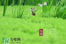 驚蟄如何養(yǎng)生？驚蟄前后如何養(yǎng)生？