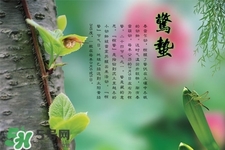 驚蟄如何養(yǎng)生？驚蟄前后如何養(yǎng)生？