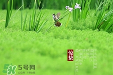 驚蟄打小人什么時間最好？驚蟄打小人幾點鐘合適？