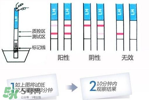 早孕試紙什么時(shí)候測最準(zhǔn)？早孕試紙什么時(shí)候可以測出來