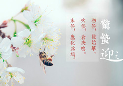驚蟄怎么打小人？驚蟄如何打小人？