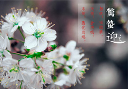 驚蟄為何要打小人？驚蟄為什么要打小人？