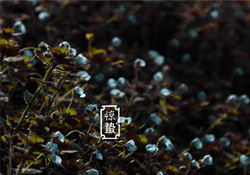 驚蟄節(jié)氣要注意什么？驚蟄節(jié)氣養(yǎng)生注意事項