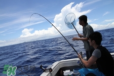 三月份可以釣魚了嗎？三月份好釣魚嗎？
