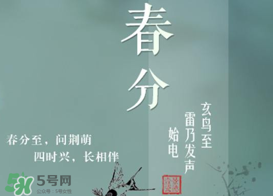 春分種什么菜？春分適合種什么菜？
