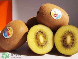 奇異果多少錢一斤？奇異果多少錢一個？