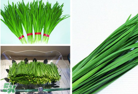 驚蟄前后可以種什么？驚蟄前后種什么蔬菜？