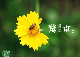 驚蟄前后可以種什么？驚蟄前后種什么蔬菜？