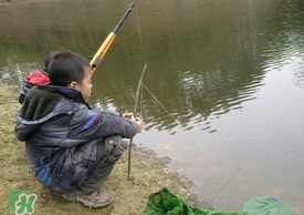 驚蟄能釣魚嗎？驚蟄釣什么魚好？