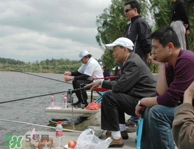 驚蟄過(guò)后好釣魚(yú)嗎？驚蟄后陰雨天好釣魚(yú)嗎？