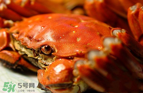 三月份吃什么螃蟹？3月份吃什么螃蟹？