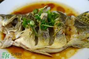 三月份吃什么魚？3月份吃什么魚好？