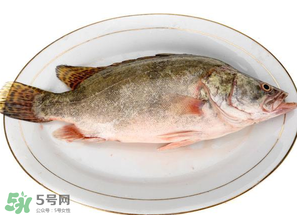 三月份吃什么魚？3月份吃什么魚好？