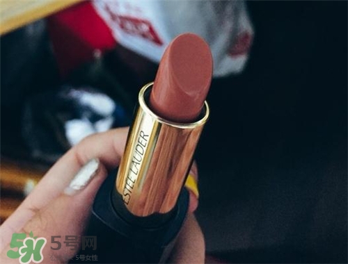 雅詩(shī)蘭黛envy110多少錢？雅詩(shī)蘭黛傾慕唇膏110價(jià)格