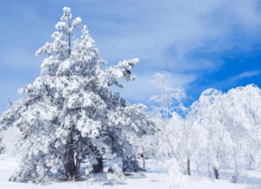 三月份還會下雪嗎？哈爾濱三月份還有雪嗎？