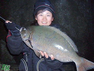 3月份釣魚用什么餌料？三月份釣魚用什么魚餌？