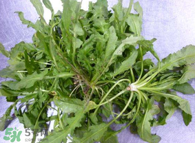 薺菜葉子黃了能吃嗎？薺菜發(fā)黃能吃嗎？