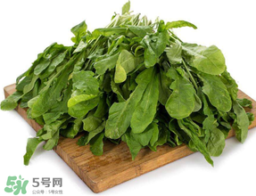 薺菜葉子黃了能吃嗎？薺菜發(fā)黃能吃嗎？