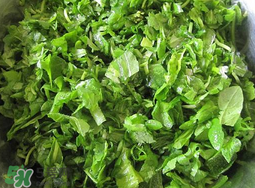 薺菜怎么洗？薺菜怎么洗才干凈？