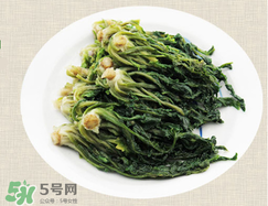 薺菜怎么保存？薺菜可以曬干存放嗎？
