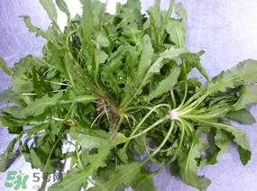 薺菜怎么保鮮？新鮮薺菜如何保鮮？