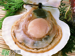 薺菜和扇貝可以一起吃嗎？薺菜扇貝湯的做法
