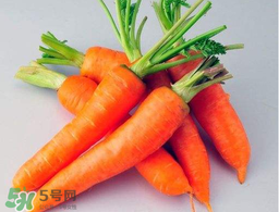 薺菜能和胡蘿卜一起吃嗎？薺菜可以和胡蘿卜一起吃嗎？