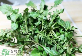 薺菜能和青菜一起吃嗎？薺菜和青菜一起吃好嗎？