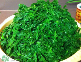 薺菜怎么焯水？薺菜焯水多久？