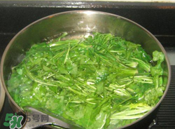 薺菜焯水后冷凍好嗎？薺菜焯水后能放多久？