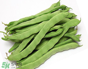 三月份可以種豆角嗎？豆角幾月份種？
