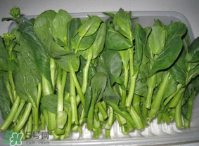 青菜苔可以吃嗎？青菜苔怎么做好吃？
