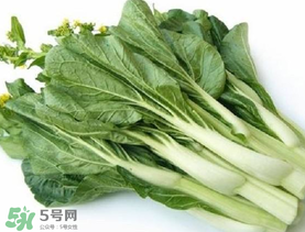 青菜苔可以吃嗎？青菜苔怎么做好吃？