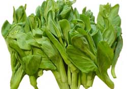 青菜苔可以吃嗎？青菜苔怎么做好吃？
