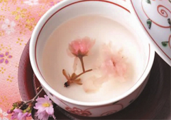 桃花酒孕婦可以喝嗎？懷孕了能喝桃花酒嗎？