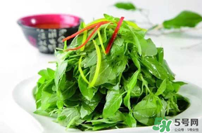 薺菜不能和什么一起吃？薺菜和什么相克？