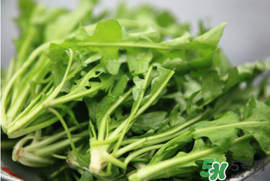 薺菜不能和什么一起吃？薺菜和什么相克？