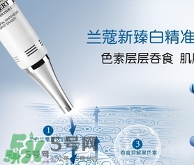 蘭蔻精華乳多少錢？蘭蔻臻白精華乳專柜價格
