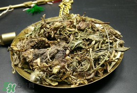 干的蒲公英多少錢一斤？蒲公英多少錢一斤干的？