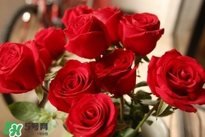 什么東西清火效果好？什么東西清火最快？